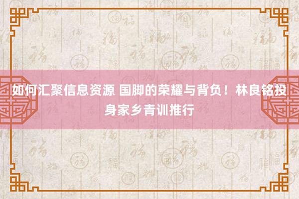 如何汇聚信息资源 国脚的荣耀与背负！林良铭投身家乡青训推行