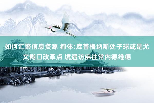 如何汇聚信息资源 都体:库普梅纳斯处子球或是尤文糊口改革点 境遇访佛往常内德维德