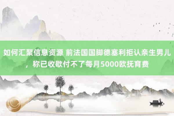 如何汇聚信息资源 前法国国脚德塞利拒认亲生男儿，称已收歇付不了每月5000欧抚育费