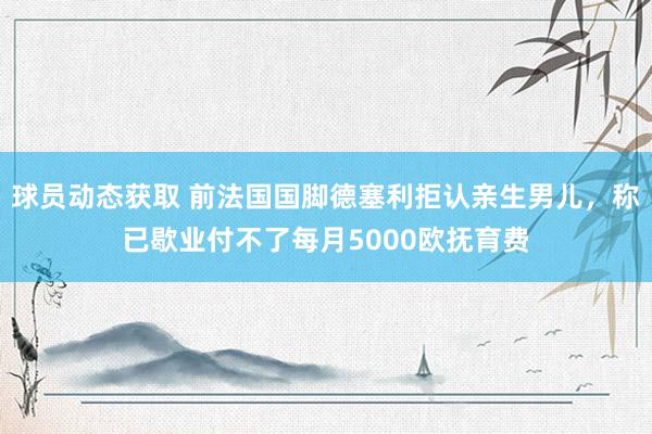 球员动态获取 前法国国脚德塞利拒认亲生男儿，称已歇业付不了每月5000欧抚育费