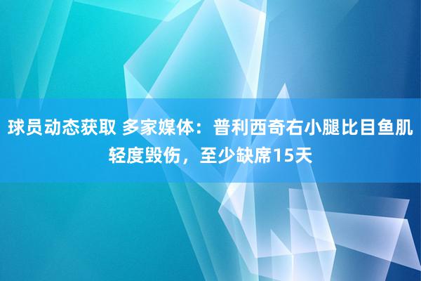 球员动态获取 多家媒体：普利西奇右小腿比目鱼肌轻度毁伤，至少缺席15天