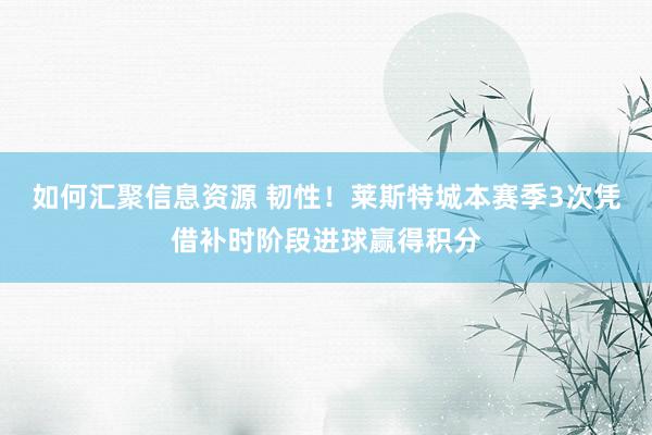 如何汇聚信息资源 韧性！莱斯特城本赛季3次凭借补时阶段进球赢得积分