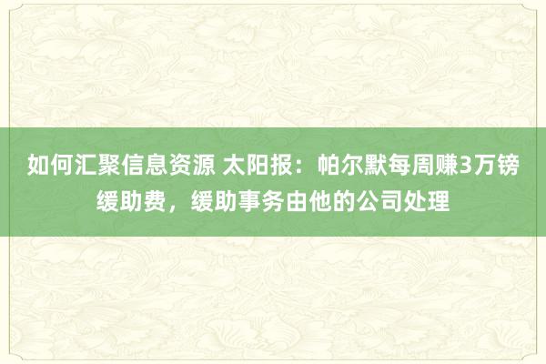 如何汇聚信息资源 太阳报：帕尔默每周赚3万镑缓助费，缓助事务由他的公司处理