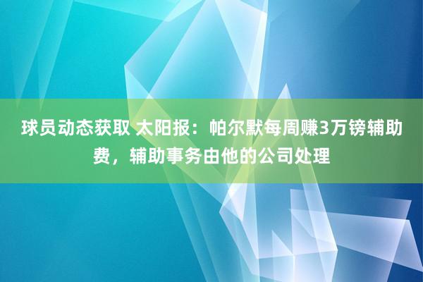 球员动态获取 太阳报：帕尔默每周赚3万镑辅助费，辅助事务由他的公司处理