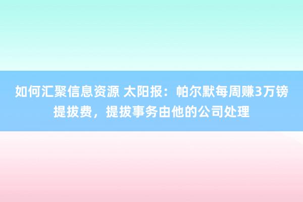 如何汇聚信息资源 太阳报：帕尔默每周赚3万镑提拔费，提拔事务由他的公司处理