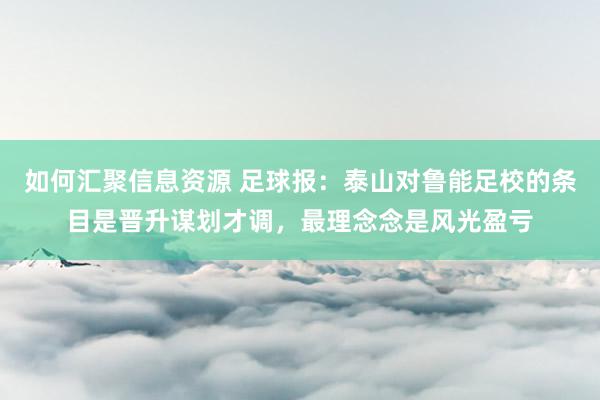 如何汇聚信息资源 足球报：泰山对鲁能足校的条目是晋升谋划才调，最理念念是风光盈亏