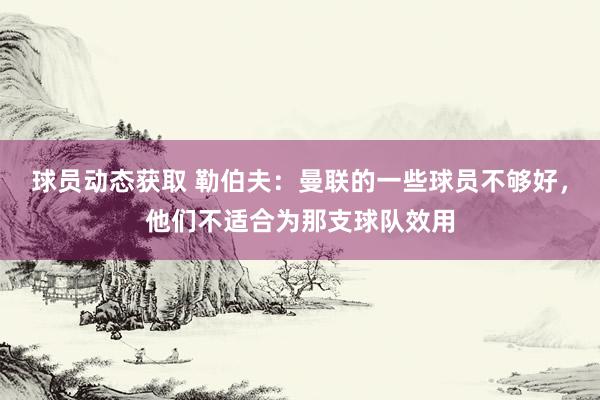 球员动态获取 勒伯夫：曼联的一些球员不够好，他们不适合为那支球队效用