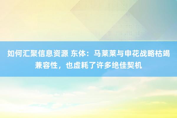 如何汇聚信息资源 东体：马莱莱与申花战略枯竭兼容性，也虚耗了许多绝佳契机