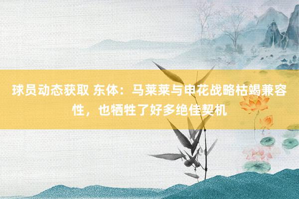 球员动态获取 东体：马莱莱与申花战略枯竭兼容性，也牺牲了好多绝佳契机