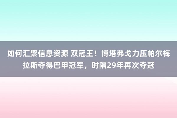 如何汇聚信息资源 双冠王！博塔弗戈力压帕尔梅拉斯夺得巴甲冠军，时隔29年再次夺冠