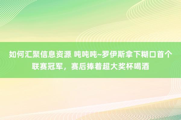 如何汇聚信息资源 吨吨吨~罗伊斯拿下糊口首个联赛冠军，赛后捧着超大奖杯喝酒